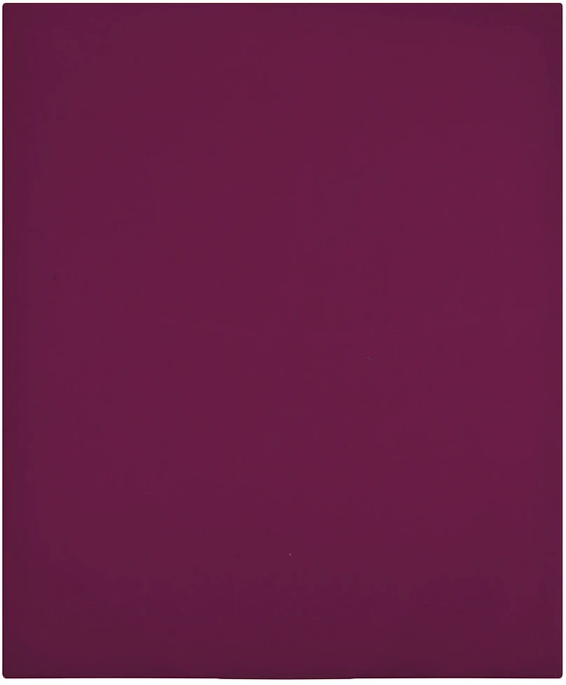 Paklodės su guma, 2vnt., bordo spalvos, 160x200cm, medvilnė
