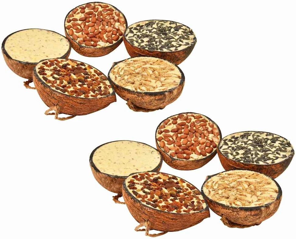 Paukščių lesalas kokoso kevale, 10vnt., 290g