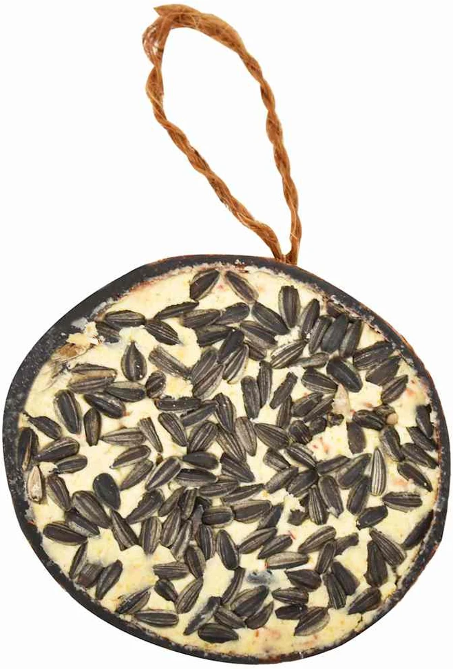 Paukščių lesalas kokoso kevale, 10vnt., 290g