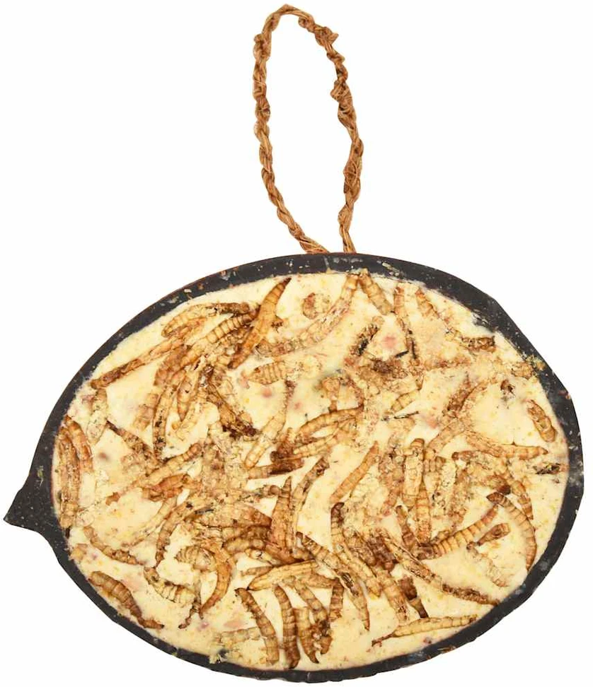 Paukščių lesalas kokoso kevale, 10vnt., 290g