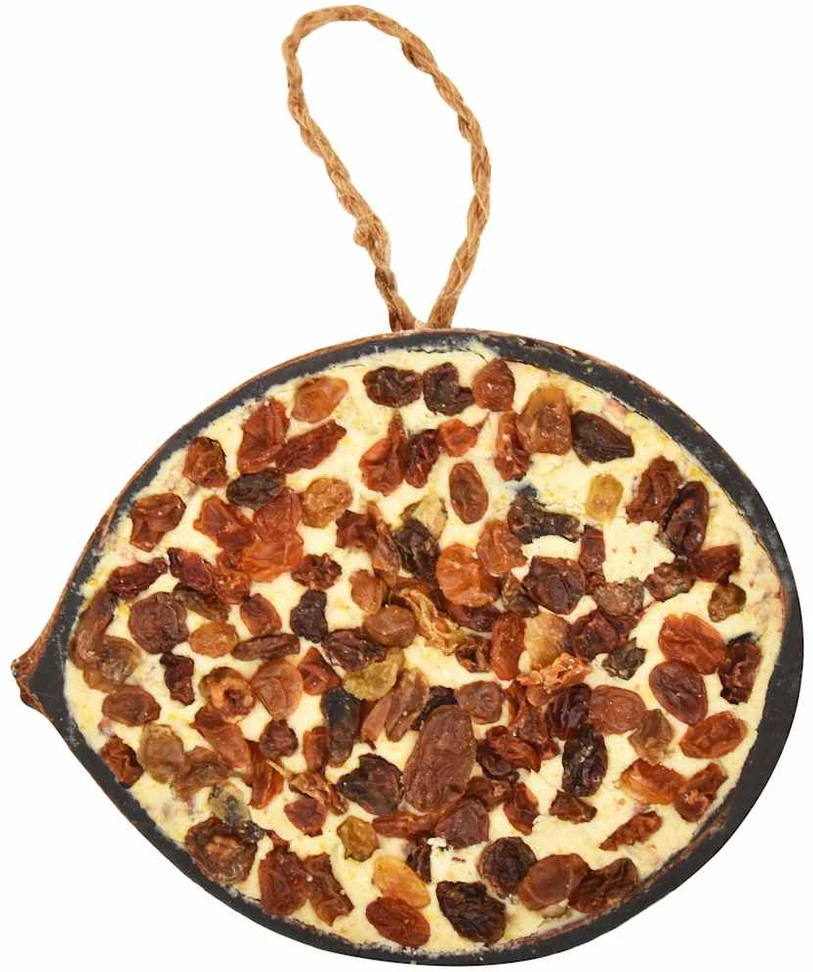 Paukščių lesalas kokoso kevale, 10vnt., 290g