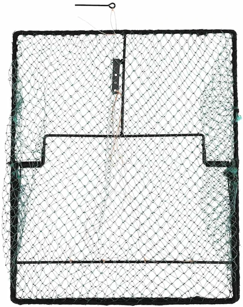 Paukščių spąstai Žalia 50 x 60 x 1,9 cm Polietilenas