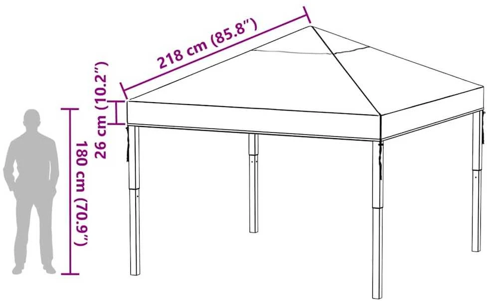 Paviliono dangos keitimas 300 x 300 x 26 cm Skaidrus PVC