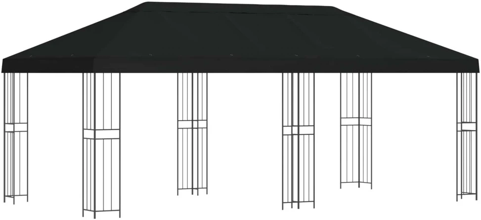 Sodo Paviljonas 6 x 3 m Juoda Poliesteris ir plienas 190 gsm