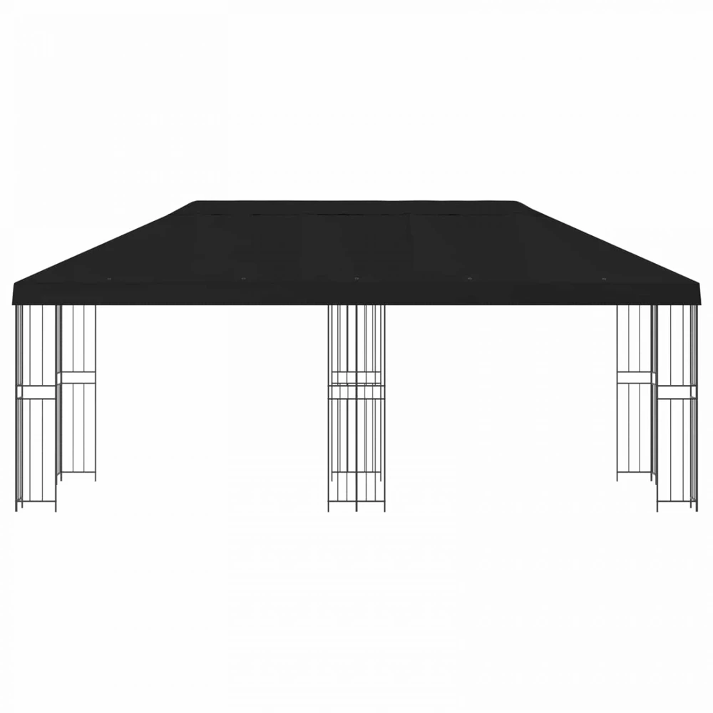 Sodo Paviljonas 6 x 3 m Juoda Poliesteris ir plienas 190 gsm