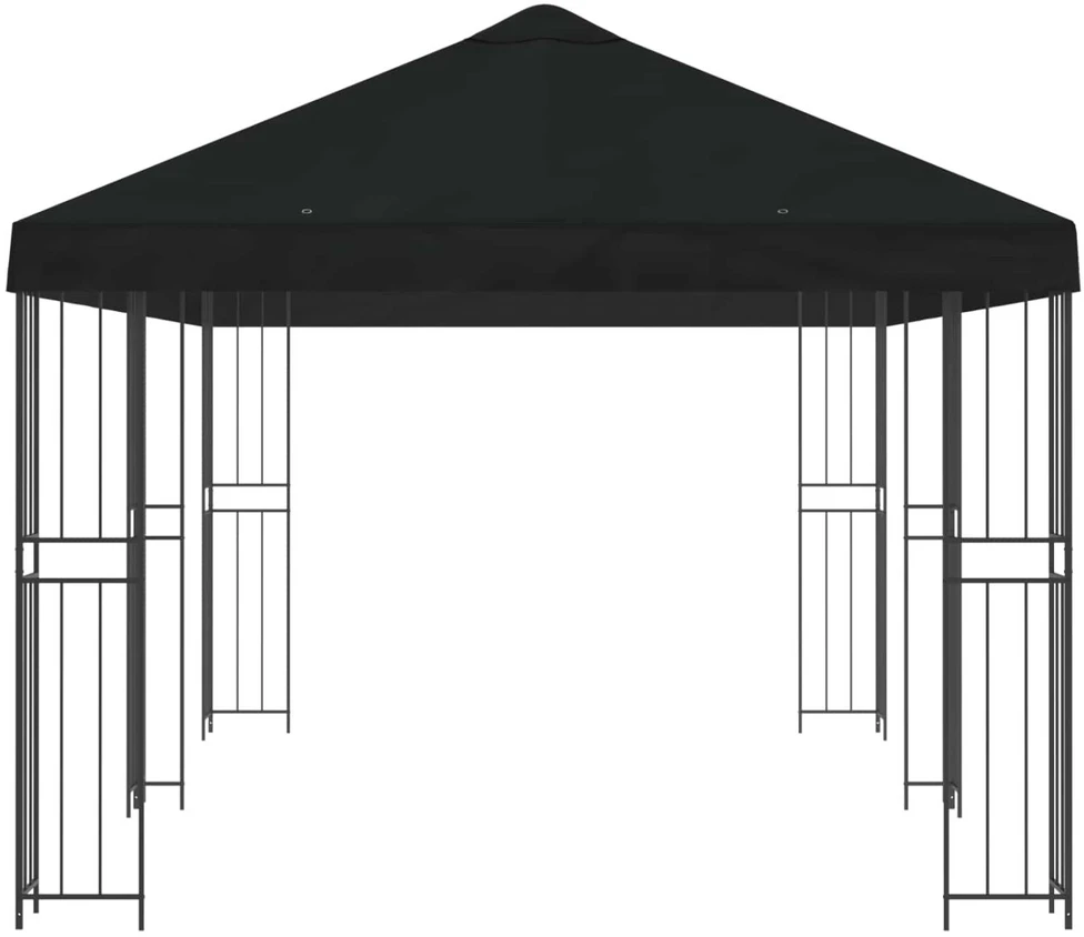 Sodo Paviljonas 6 x 3 m Juoda Poliesteris ir plienas 190 gsm