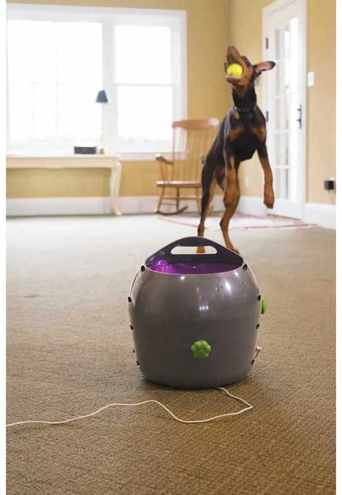 PetSafe Automatic Ball Launcher automatinis kamuoliukų mėtymo prietaisas šunims
