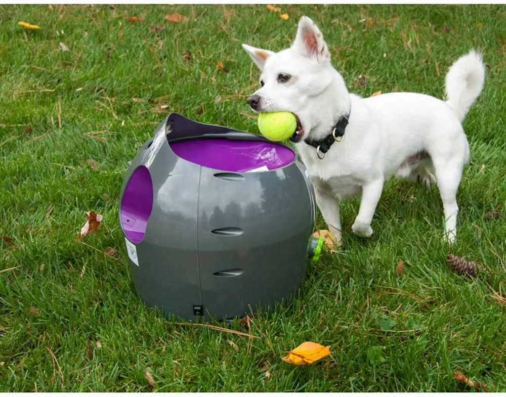 PetSafe Automatic Ball Launcher automatinis kamuoliukų mėtymo prietaisas šunims