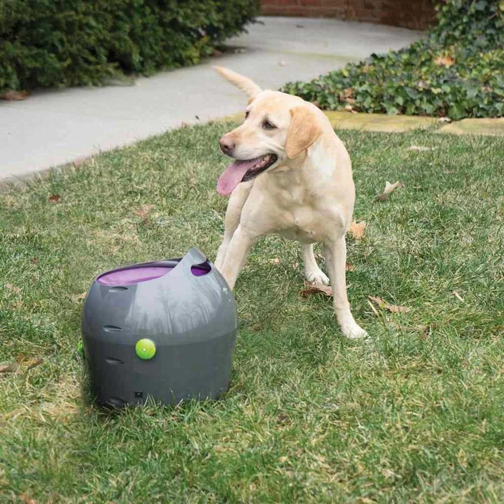 PetSafe Automatic Ball Launcher automatinis kamuoliukų mėtymo prietaisas šunims