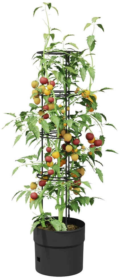 Pomidorų augintojas Juoda Ø 32 x 127 cm PP
