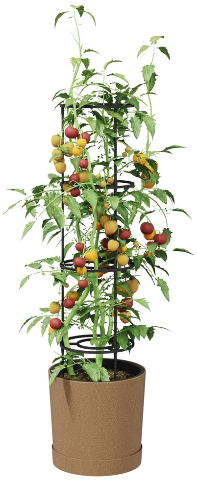 Pomidorų augintojas Naturo ECO Ø 39 x 139 cm WPC