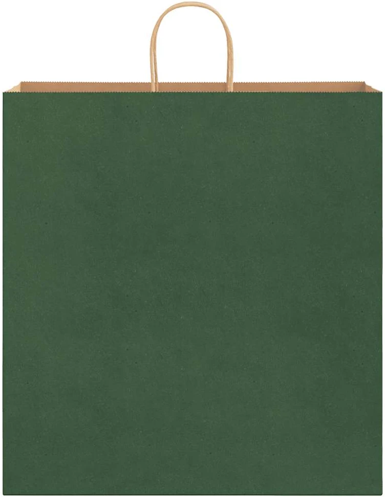 Popieriniai maišeliai 250vnt. su rankenomis, žalios, 45x17x48cm