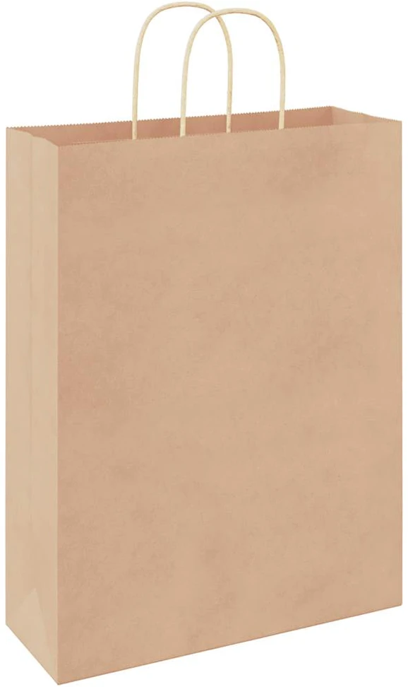 Popieriniai maišeliai, 50vnt., su rankenomis, rudos, 32x12x42cm