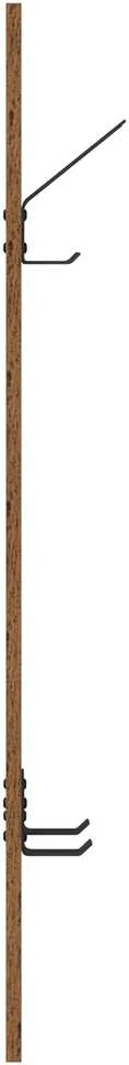 Prikabinamas paltas Sieninis Senas medis 20 x 1,5 x 100 cm