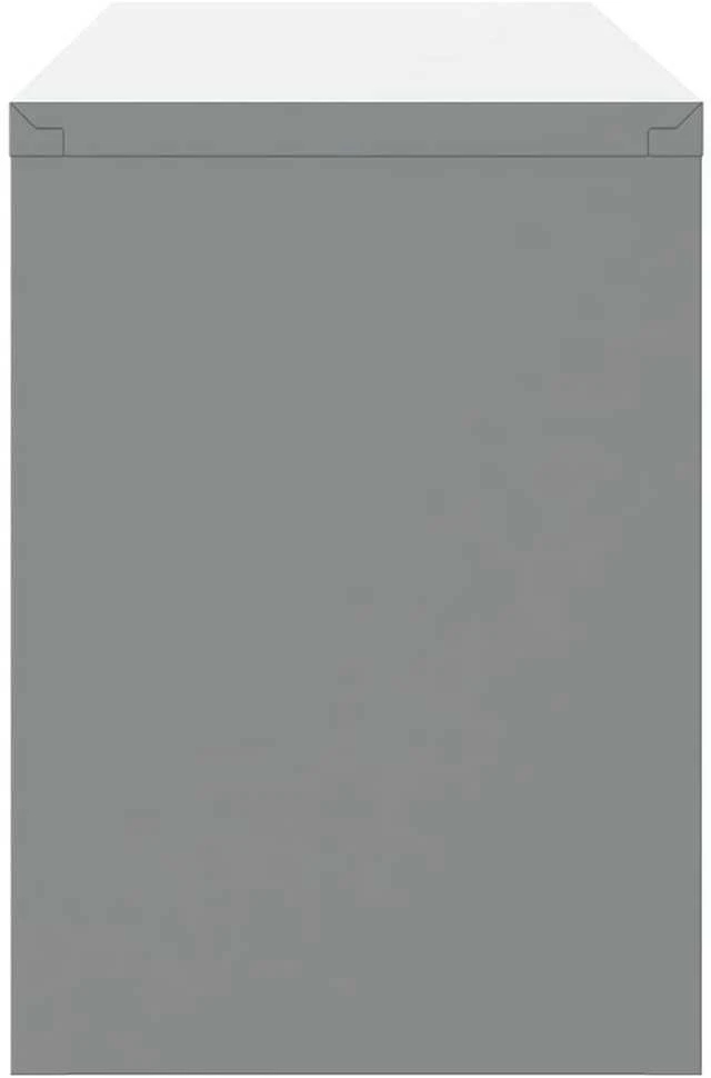 Įrankių spinta Raudona ir pilka 100 x 25 x 35 cm Plienas