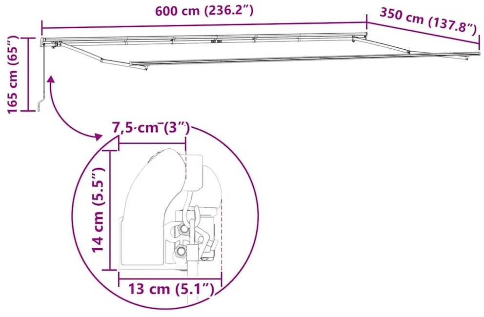 Ištraukiama markizė Įvairiaspalvis 600 × 350 cm