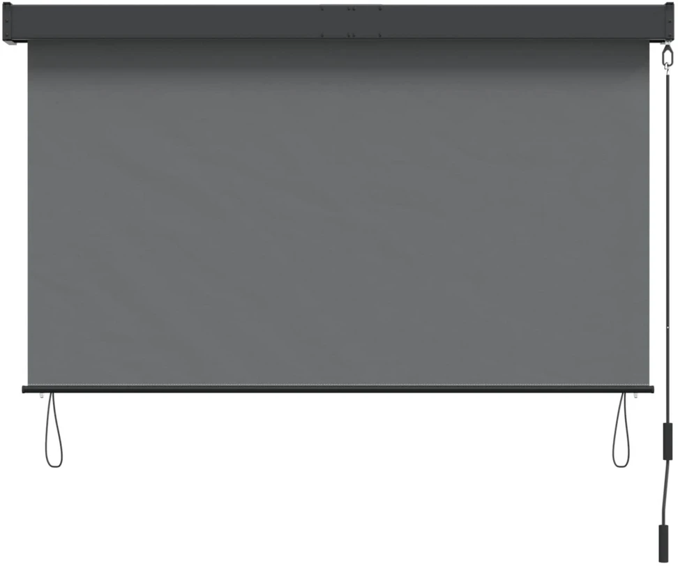 Roletas Šviesiai pilka 60 x 250 cm Audinys ir aliuminis