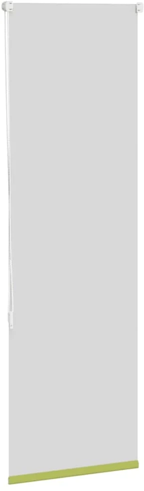 Roletas, tamsinantys lapai, žalias, 55x175 cm, audinys, plotis 50,7 cm, poliesteris