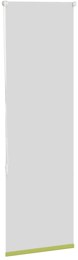 Roletas, tamsinantys lapai, žalias, 55x175 cm, audinys, plotis 50,7 cm, poliesteris