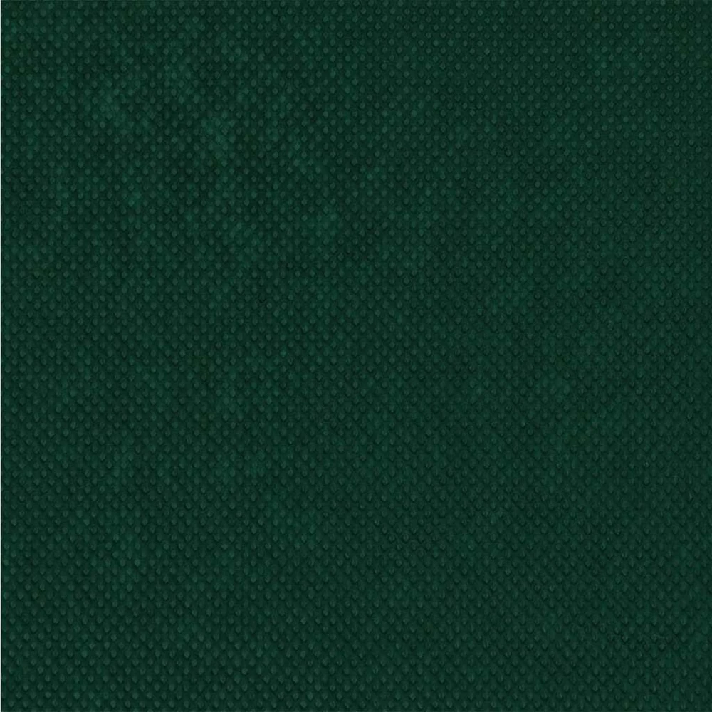 Šalčio apsaugos augalų flisas Žalia 100 x 1,6 m