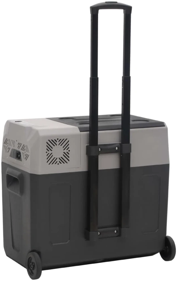 Šaltdėžė su ratukais ir adapteriu, juoda ir pilka, 50l, PP