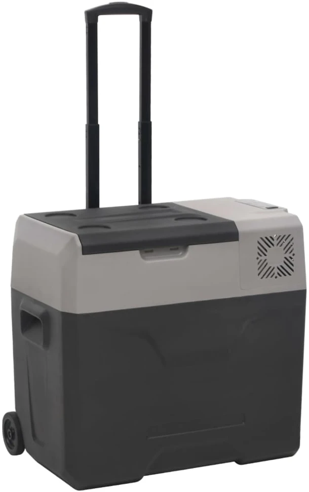 Šaltdėžė su ratukais ir adapteriu, juoda ir pilka, 50l, PP