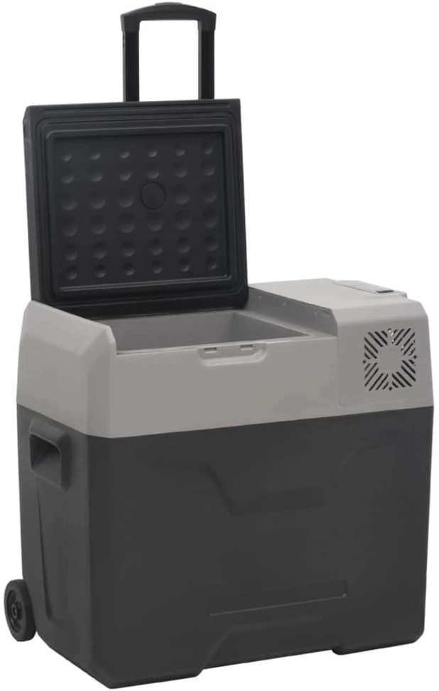 Šaltdėžė su ratukais ir adapteriu, juoda ir pilka, 30l, PP