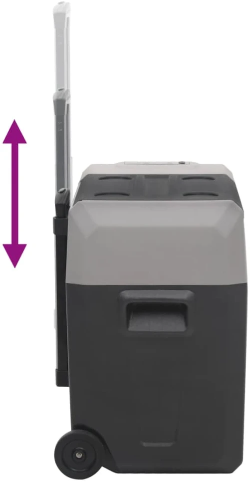 Šaltdėžė su ratukais ir adapteriu, juoda ir pilka, 50l, PP