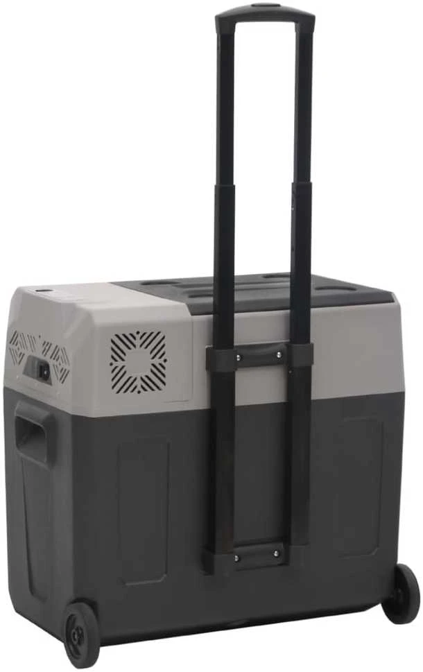 Šaltdėžė su ratukais ir rankena, juoda ir pilka, 30l, PP