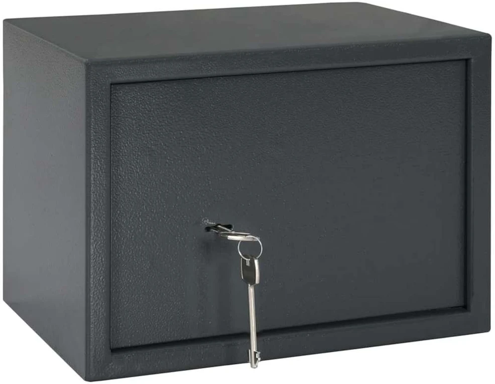 SentrySafe Seifo dėžė su užraktu Tamsiai pilka 35 x 25 x 25 cm Plienas