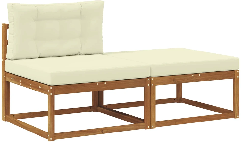 Sekcija sofa vienetai su pagalve 2 Vienetas Natūrali