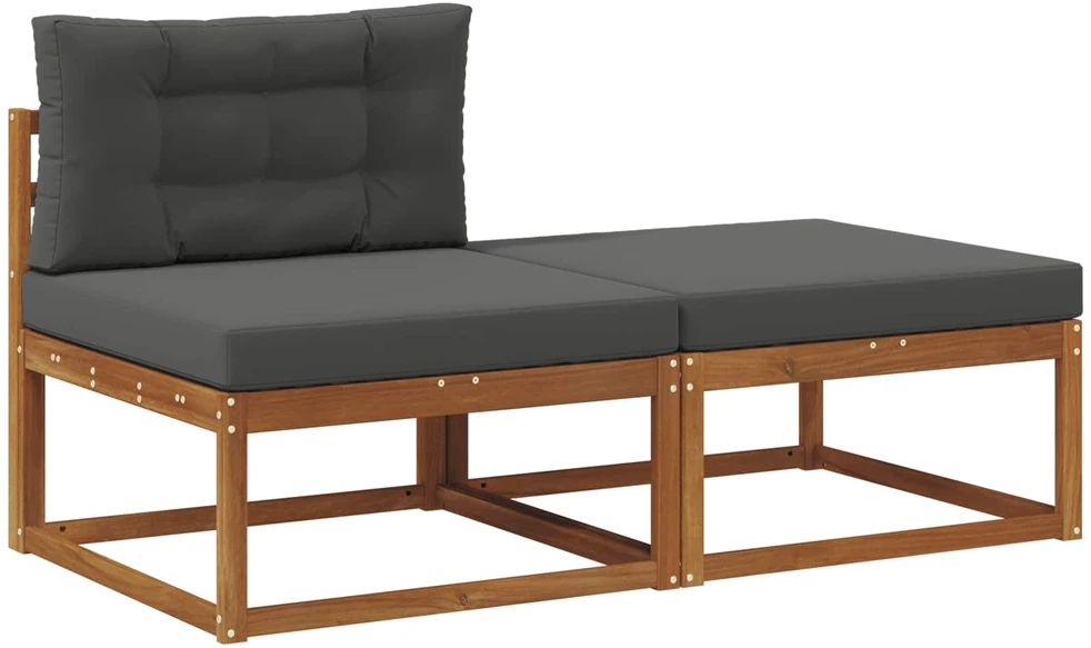 Sekcija sofa vienetai su pagalve 2 Vienetas Natūrali