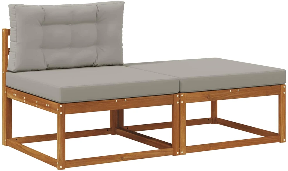 Sekcija sofa vienetai su pagalve 2 Vienetas Natūrali