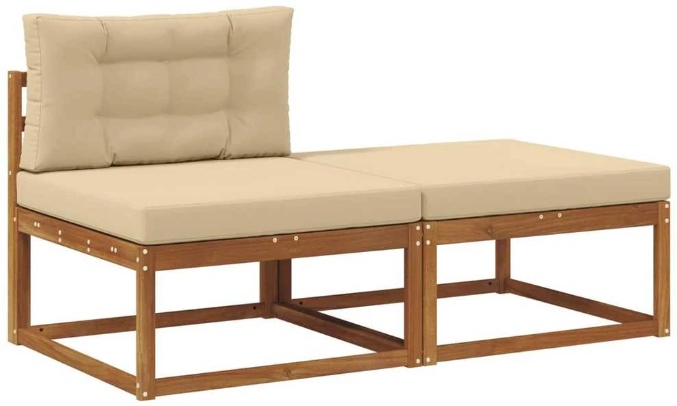 Sekcija sofa vienetai su pagalve 2 Vienetas Natūrali