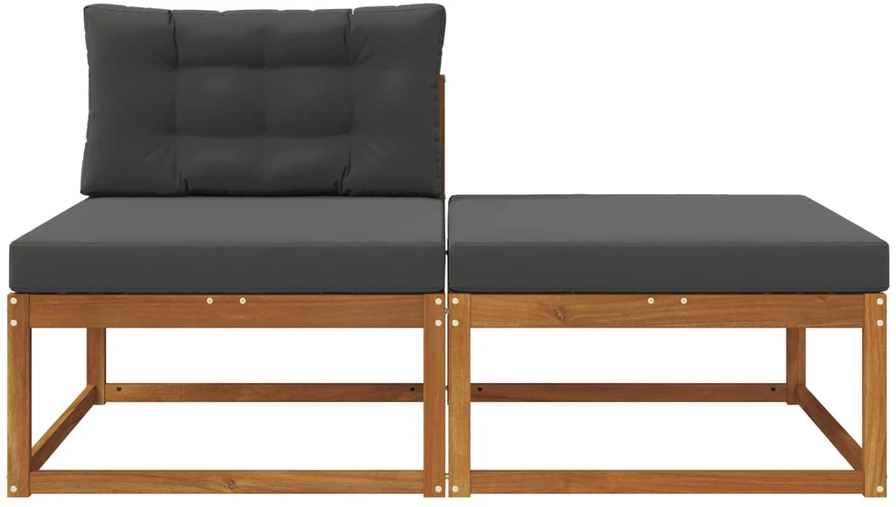 Sekcija sofa vienetai su pagalve 2 Vienetas Natūrali
