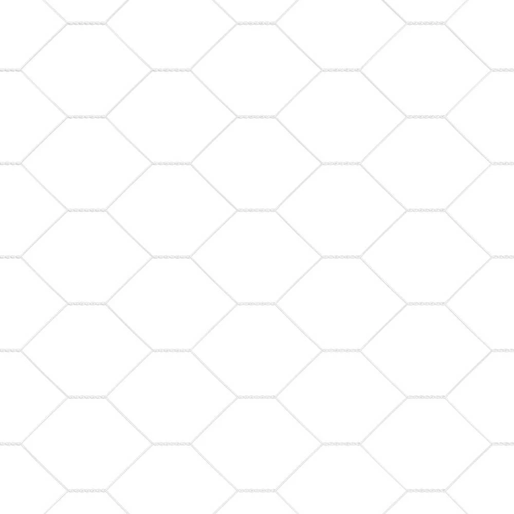Hexagonal Fence with Post 100 x 1,6 m Galvanizuotas plienas