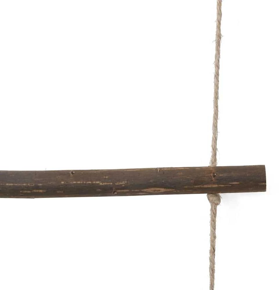 sienų dekoravimo kopėčios 50x200 cm natūralios šakos
