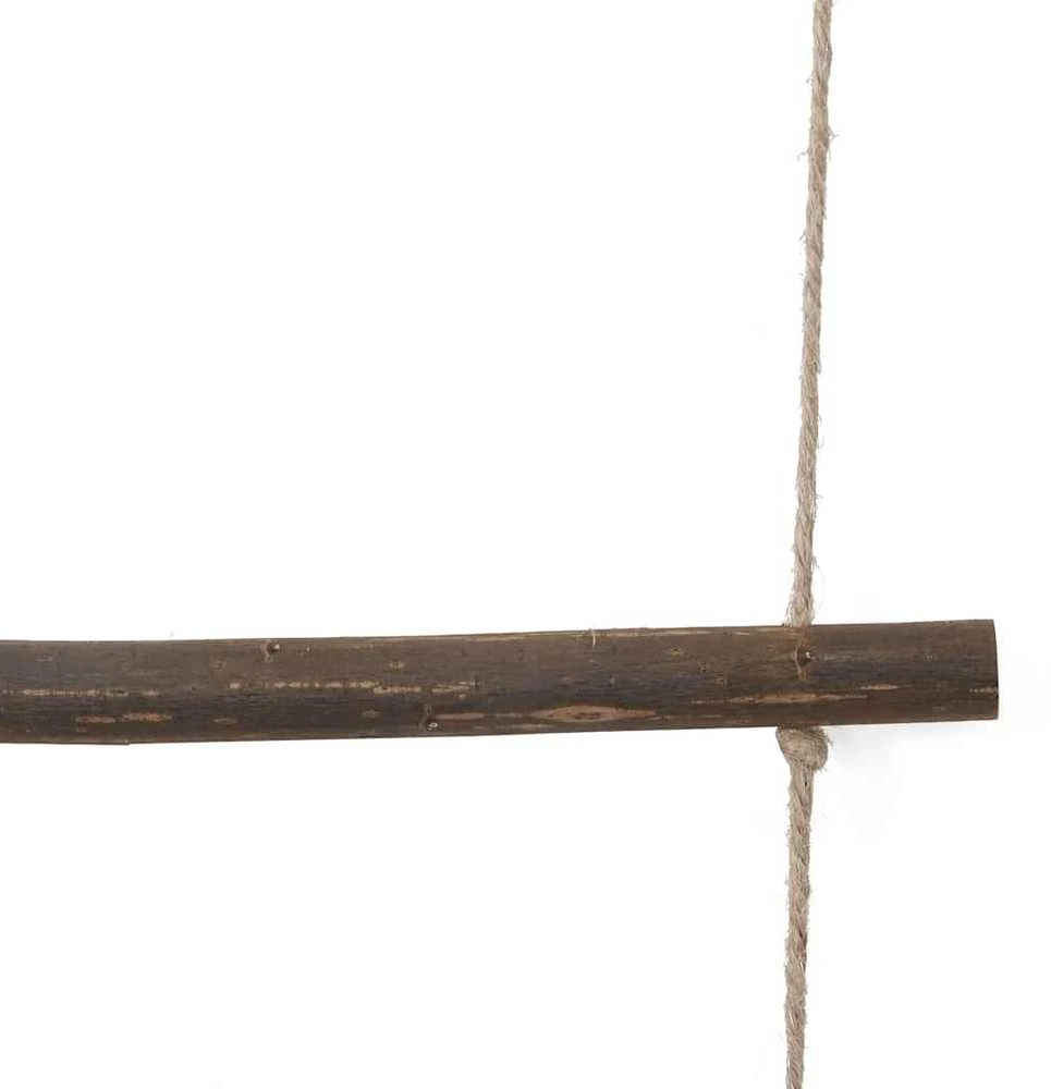 sienų dekoravimo kopėčios formos 50x150 cm Natural Branch