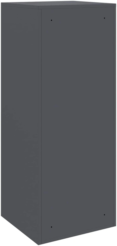 Siuntų dėžutė su saugykla Antracito 41 x 38 x 103 cm Plienas
