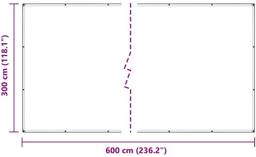 Skaidrus brezentas su akutėmis 3x6 m polietilenas