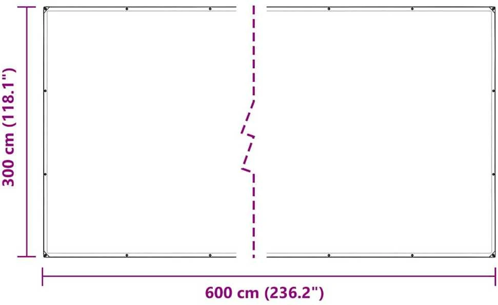 Skaidrus brezentas su akutėmis 3x6 m polietilenas