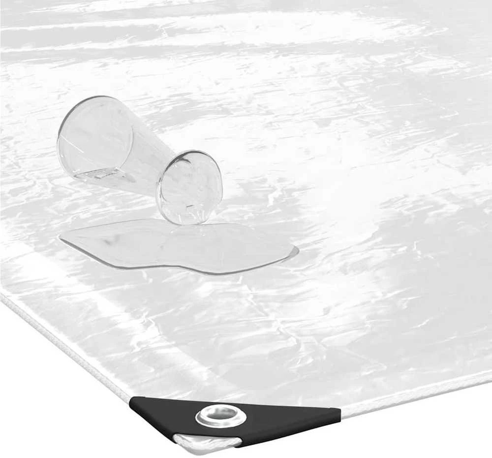 Tradgard Skaidrus brezentas su ąselėmis 1x12 m PVC