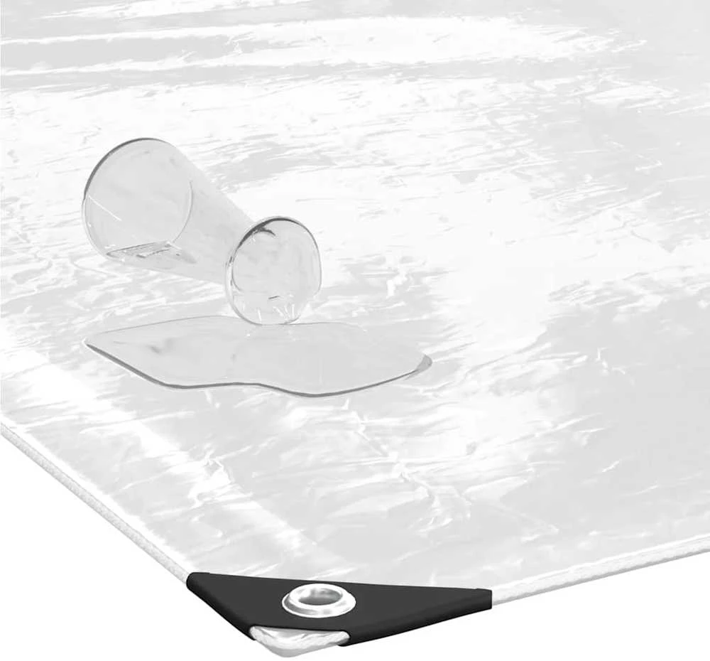Skaidrus brezentas su ąselėmis 1x3 m PVC
