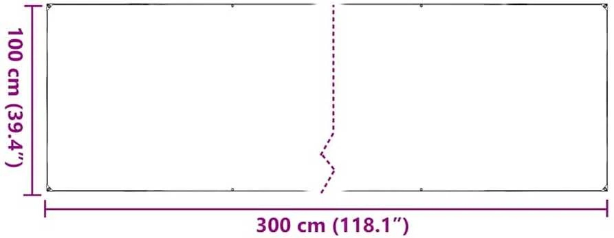 Skaidrus brezentas su ąselėmis 1x3 m PVC
