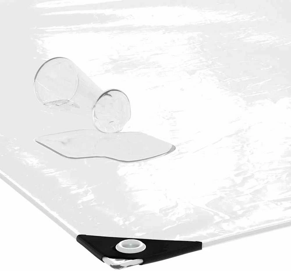 Skaidrus brezentas su ąselėmis 2x3 m PVC
