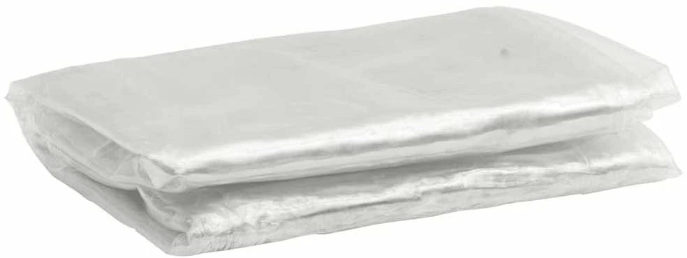 Skaidrus brezentas su ąselėmis 2x3 m PVC