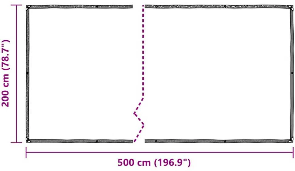 Skaidrus brezentas su ąselėmis 2x5 m Polietilenas