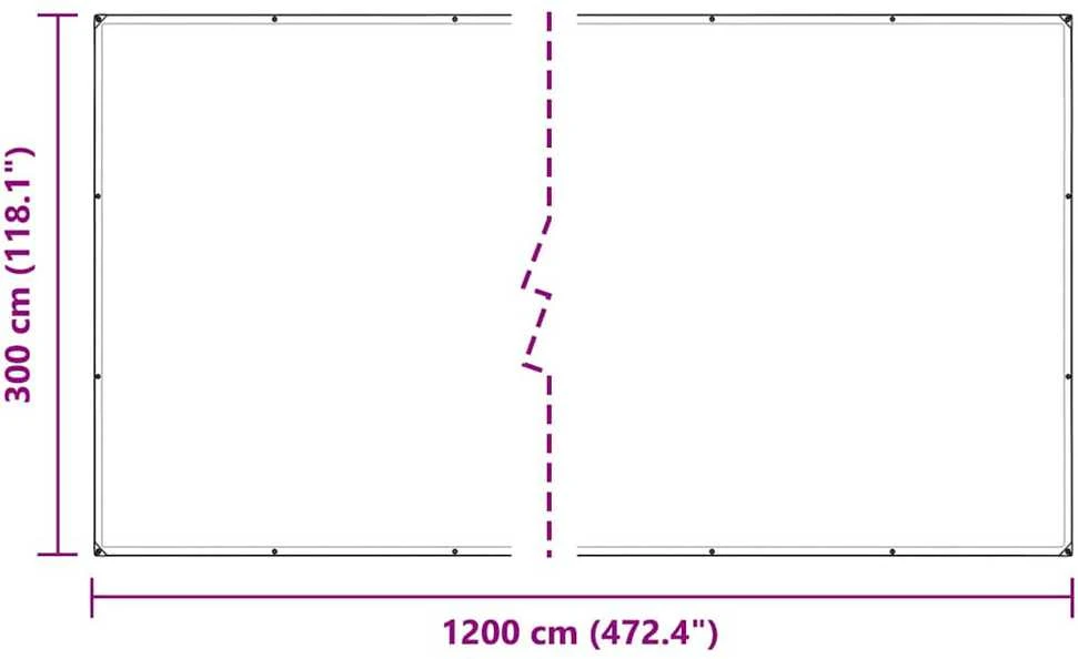 Skaidrus brezentas su ąselėmis 3x12 m polietilenas