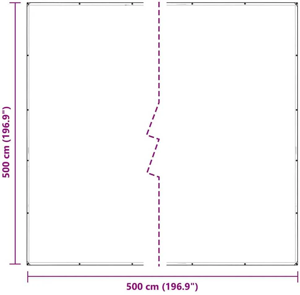Skaidrus brezentas su ąselėmis 5x5 m PVC