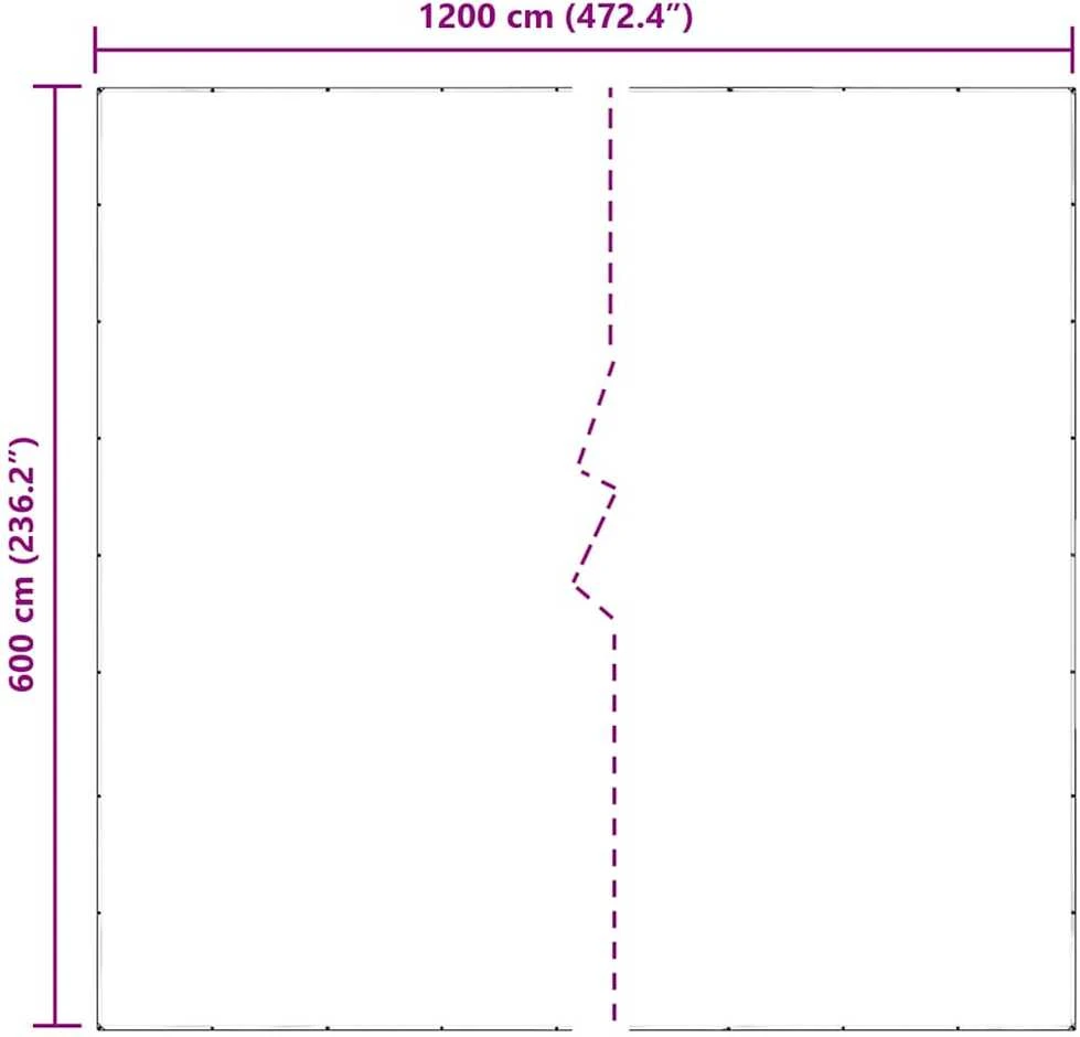 Skaidrus brezentas su kilpomis 6x12 m PVC